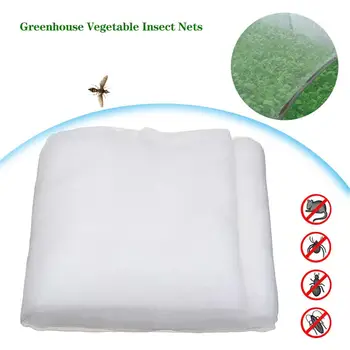 Insect-proof Net for Vegetables in Fruit Tree Greenhouse Thickened Insect Net Cover Nylon Net Breeding Net 
Insect-proof Net for Vegetables in Fruit Tree Greenhouse Thickened Insect Net Cover Nylon Net Breeding Net