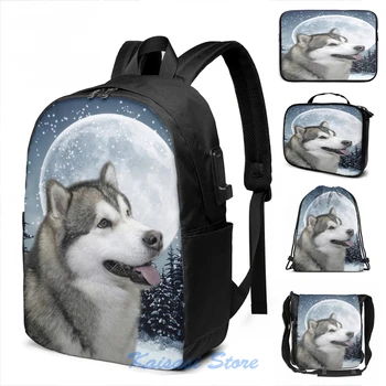 Funny Graphic print Alaskan Malamute USB Charge Backpack men School bags Women bag Travel laptop bag
Funny Graphic print Alaskan Malamute USB Charge Backpack men School bags Women bag Travel laptop bag