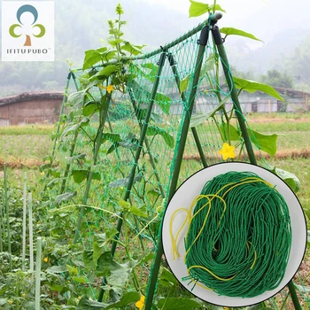 Plants Climbing Net Melon Fruit Morning Glory Vine Net Flower Vine Cucumber Trellis Netting Plant Net Plant Climbing Garden ZXH
Plants Climbing Net Melon Fruit Morning Glory Vine Net Flower Vine Cucumber Trellis Netting Plant Net Plant Climbing Garden ZXH
