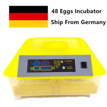 220V Mini Egg Incubator 48 Eggs Circulation Duct Automatic Thermostat High Hatching Rate Incubator For Chicken Duck
220V Mini Egg Incubator 48 Eggs Circulation Duct Automatic Thermostat High Hatching Rate Incubator For Chicken Duck