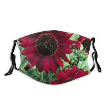 Anti Dust Mask With Filter PM 2.5 Face Mouth Cover, RED GIANT SUNFLOWER Windproof Face Masks Reusable
Anti Dust Mask With Filter PM 2.5 Face Mouth Cover, RED GIANT SUNFLOWER Windproof Face Masks Reusable