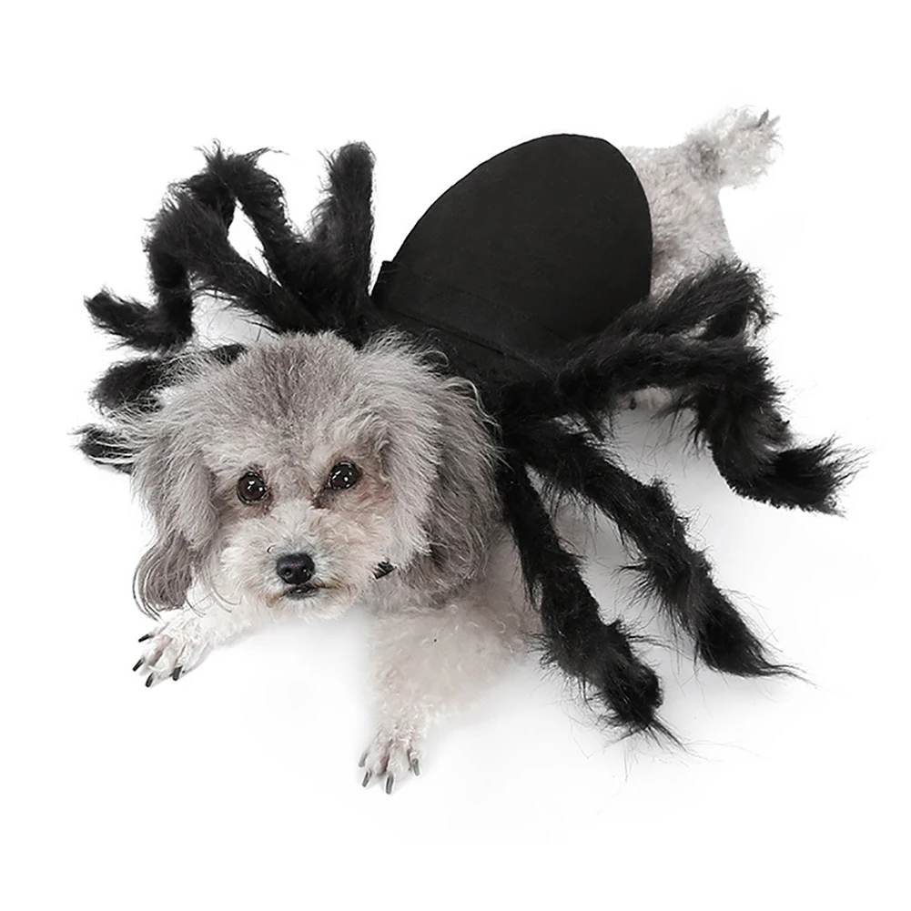 Halloween Pet Dogs Clothes Spider Cosplay Pet Costume For Cat Dog Spider Bat Role Play Dressing Up Clothes For Party Christmas
Halloween Pet Dogs Clothes Spider Cosplay Pet Costume For Cat Dog Spider Bat Role Play Dressing Up Clothes For Party Christmas