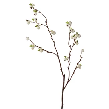 2pcs Fake Flower Dried Mushroom Grass Artificial Fruit Small Ginkgo Flower for Home Decor DIY No Vase
2pcs Fake Flower Dried Mushroom Grass Artificial Fruit Small Ginkgo Flower for Home Decor DIY No Vase