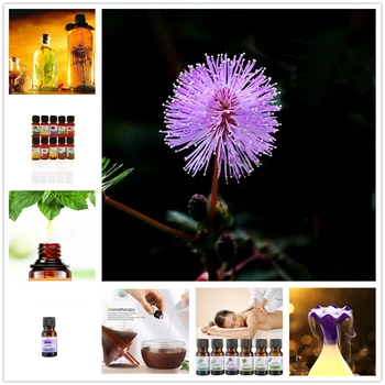 2020 New Pure Essential Oils 10ML Humidifier Diffuser Massage Magnolia Flower Oil Essential Purifying Air Humidifier Oils
2020 New Pure Essential Oils 10ML Humidifier Diffuser Massage Magnolia Flower Oil Essential Purifying Air Humidifier Oils