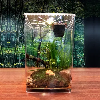 Reptiles Feeding Box Pet Terrarium Feeding Tank Transparent Acrylic Reptile Breeding CageBox Spider Scorpion LED Incubation Lamp
Reptiles Feeding Box Pet Terrarium Feeding Tank Transparent Acrylic Reptile Breeding CageBox Spider Scorpion LED Incubation Lamp