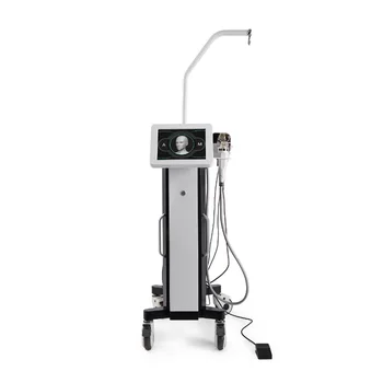 Hone Use Removal Wrinkles Rejuvenation Machine/Micro Needle Machine with Ice hammer
Hone Use Removal Wrinkles Rejuvenation Machine/Micro Needle Machine with Ice hammer