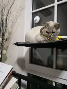 Pet Cat Hammock Hanging Bed Cat Window Sunny Seat Confortable Soft Cat Mats bed Washable Removable Pet supplies
Pet Cat Hammock Hanging Bed Cat Window Sunny Seat Confortable Soft Cat Mats bed Washable Removable Pet supplies