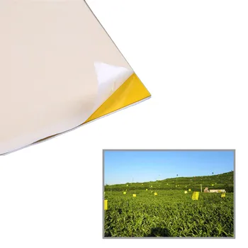 5PCS Pest Control Mosquito Trap Strong Flies Sticky Traps Bugs Sticky Catching Insects Pest Killer Double Side Outdoor Fly Board
5PCS Pest Control Mosquito Trap Strong Flies Sticky Traps Bugs Sticky Catching Insects Pest Killer Double Side Outdoor Fly Board