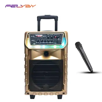 FELYBY 8-inch indoor outdoor mobile portable karaoke wireless Bluetooth speaker HT-208 lever speaker for party church conference 
FELYBY 8-inch indoor outdoor mobile portable karaoke wireless Bluetooth speaker HT-208 lever speaker for party church conference