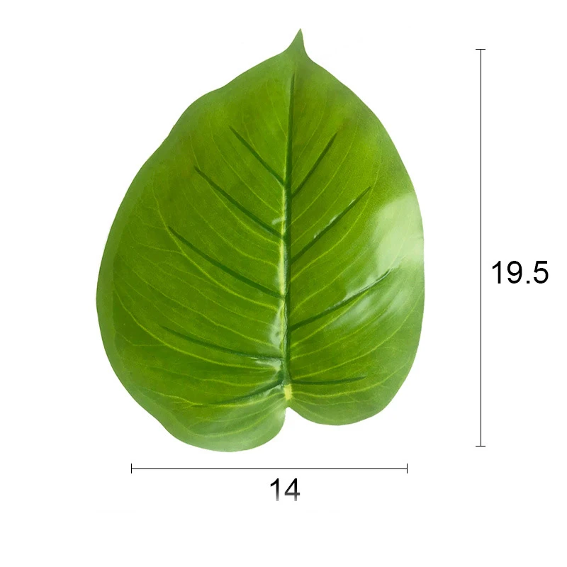 11167276228_1493019570