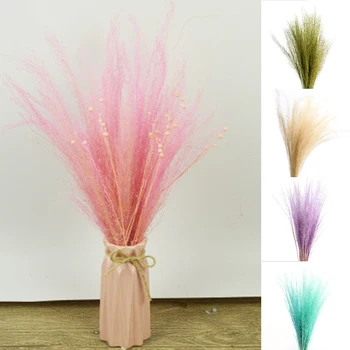 50 Stems Dry Flowers Small Pampas Grass Phragmites Communis Dried Flowers Bouquet for Wedding Flores secas RT99
50 Stems Dry Flowers Small Pampas Grass Phragmites Communis Dried Flowers Bouquet for Wedding Flores secas RT99