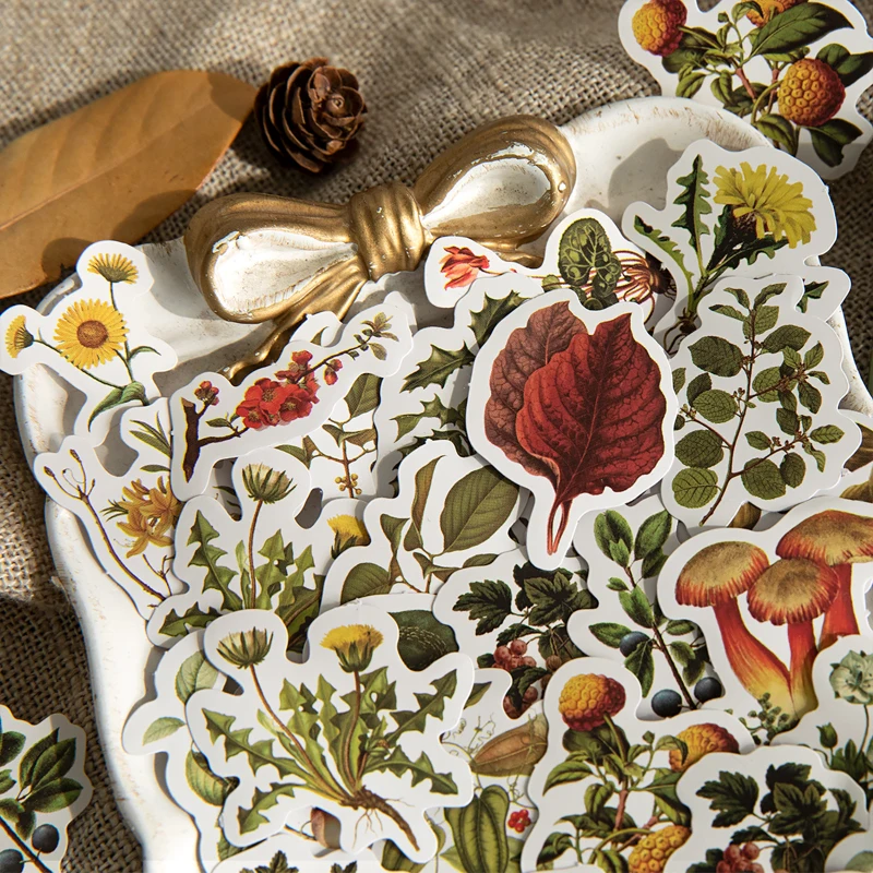 46 Pcs/box Vintage Forest Retro Sticker Decoration Diy Album Plant Sticker Seal Affixed Mushroom Stationery
46 Pcs/box Vintage Forest Retro Sticker Decoration Diy Album Plant Sticker Seal Affixed Mushroom Stationery