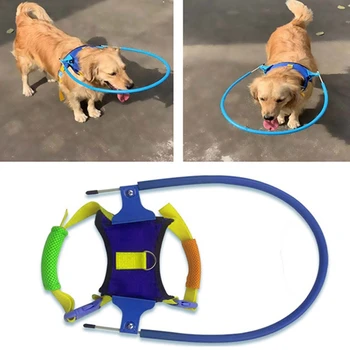 Steps Blind Pet Anti-Collision Ring Scorpion Cataract Animal Protection Circle Guide Dog Harness for Small Puppy Dogs XS
Steps Blind Pet Anti-Collision Ring Scorpion Cataract Animal Protection Circle Guide Dog Harness for Small Puppy Dogs XS