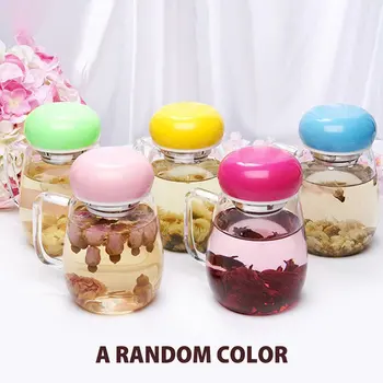 Creative Glass Tea Infuser Cup With Transparent Handle Heat-resistant Flower Teacup Office Tea Mug Drinkware
Creative Glass Tea Infuser Cup With Transparent Handle Heat-resistant Flower Teacup Office Tea Mug Drinkware