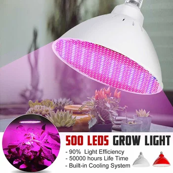 LED Grow Light Full Spectrum 30W E27 LED Growing Bulb for Indoor Hydroponics Flowers Plants LED Growth Lamp 500Pcs 3528 Beads
LED Grow Light Full Spectrum 30W E27 LED Growing Bulb for Indoor Hydroponics Flowers Plants LED Growth Lamp 500Pcs 3528 Beads