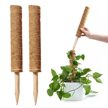 Plant Climbing Coir Totem Pole Safe Gardening Coir Moss Totem Pole Plant Extension Support Creeper Climb Pole Plants Vines
Plant Climbing Coir Totem Pole Safe Gardening Coir Moss Totem Pole Plant Extension Support Creeper Climb Pole Plants Vines