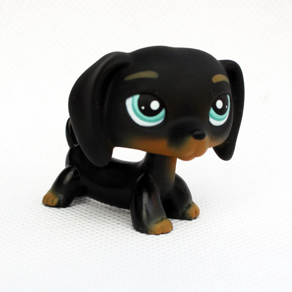

LPS CAT Rare Animal Littlest pet shop bobble head toys DACHSHUND #325 mini black sausage dog kids toy gifts