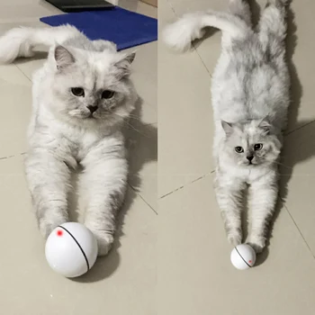 Cats Toys Ball USB Rechargeable LED Luminous Pet Dogs Toy Rotating Interaction Balls XHC88
Cats Toys Ball USB Rechargeable LED Luminous Pet Dogs Toy Rotating Interaction Balls XHC88