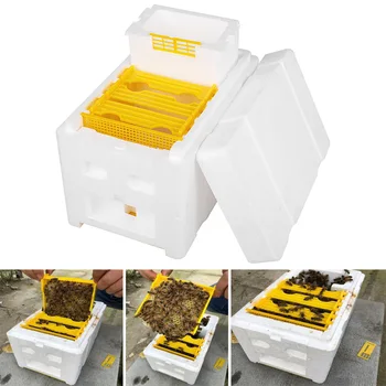 Harvest Bee Hive Box Beekeeping King Pollination Box Beekeeping Tool For Garden Pollination Box King Reserve Beekeeping Tool
Harvest Bee Hive Box Beekeeping King Pollination Box Beekeeping Tool For Garden Pollination Box King Reserve Beekeeping Tool