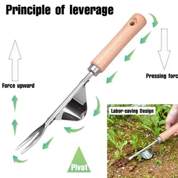 Nursery Fork Seedling Transplanting Shovel Seedling Transplanting Shovel Stainless Steel Weeder Weeding Tool
Nursery Fork Seedling Transplanting Shovel Seedling Transplanting Shovel Stainless Steel Weeder Weeding Tool