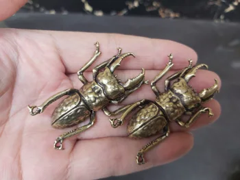 2pieces Beetle bronze statue copper ORNAMENT solid brass Stag Beetle; lucanidae 
2pieces Beetle bronze statue copper ORNAMENT solid brass Stag Beetle; lucanidae