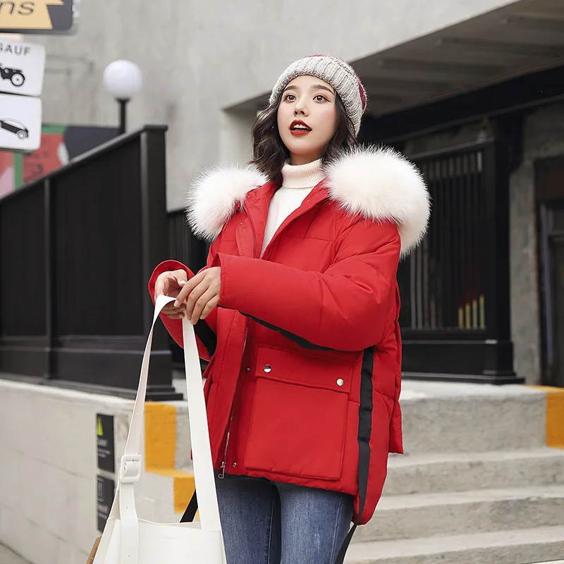 Winter Cotton-padded Clothes Women's off Season 2019 New Style Korean-style Best Friend-Large Fur Collar Loose-Fit Hooded down J
Winter Cotton-padded Clothes Women's off Season 2019 New Style Korean-style Best Friend-Large Fur Collar Loose-Fit Hooded down J