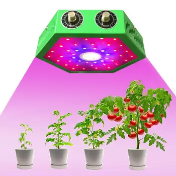 New 1000W COB LED Plant Grow Light Lamp Bulb Adjustable Veg+Bloom Switch and Large Cooling Fan for Indoor Greenhouse Fruits
New 1000W COB LED Plant Grow Light Lamp Bulb Adjustable Veg+Bloom Switch and Large Cooling Fan for Indoor Greenhouse Fruits