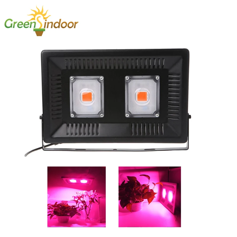 Cob Led Grow Light Full Spectrum Growing Lamp For Plants With Covering Greenhouse Hydroponic Spotlights Seeding Vegetables Fruit
Cob Led Grow Light Full Spectrum Growing Lamp For Plants With Covering Greenhouse Hydroponic Spotlights Seeding Vegetables Fruit