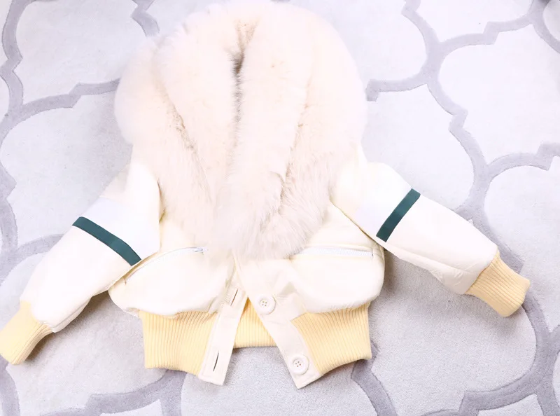 Aluonlineshop Fox Fur Large Fur Collar Short Cotton Overcoat Women's Winter Thick White Jacket Cotton Coat
Aluonlineshop Fox Fur Large Fur Collar Short Cotton Overcoat Women's Winter Thick White Jacket Cotton Coat