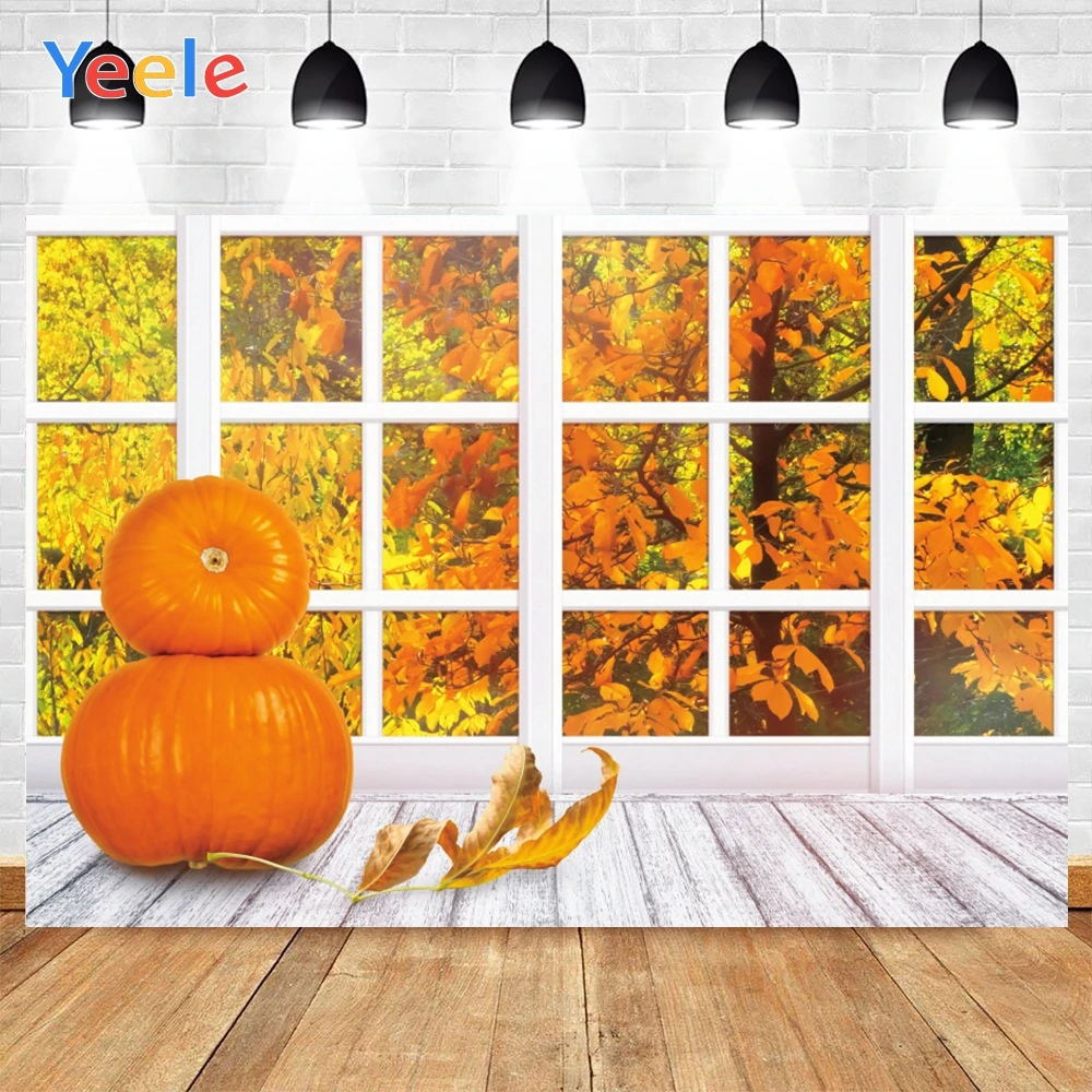 Yeele Autumn Window Golden Leaves Pumpkins Trees Background Photophone Photography Photo Studio for Decoration Customized Size
Yeele Autumn Window Golden Leaves Pumpkins Trees Background Photophone Photography Photo Studio for Decoration Customized Size