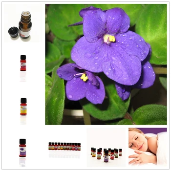Nature Gardenia Fragrance Aromatherapy Essential Oils for Aromatherapy Diffusers Flower Diffuser Humidifier Essential Oil 10ml
Nature Gardenia Fragrance Aromatherapy Essential Oils for Aromatherapy Diffusers Flower Diffuser Humidifier Essential Oil 10ml
