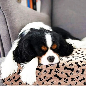 Three layers Waterproof Reusable Dog Bed Mats Pet Urine Pad Puppy Pee Fast Absorbing Rug for Cat Training
Three layers Waterproof Reusable Dog Bed Mats Pet Urine Pad Puppy Pee Fast Absorbing Rug for Cat Training