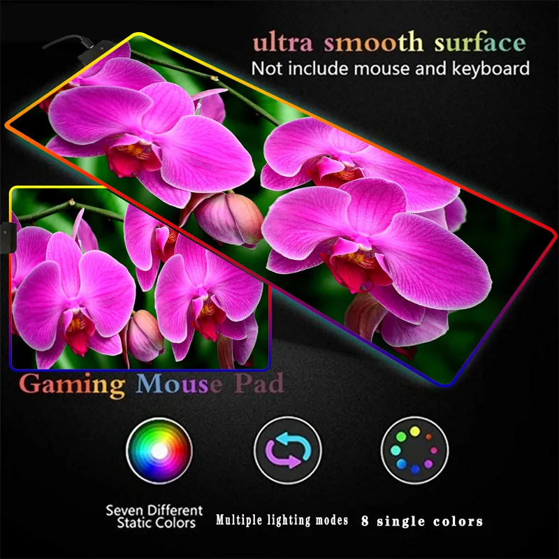 Purple Flower Large Gaming Gamer Mousepad RGB XXL Computer Mat LED Backlit Mat Mause Carpet Desk Mat for CSGO Keyboard PC Pad
Purple Flower Large Gaming Gamer Mousepad RGB XXL Computer Mat LED Backlit Mat Mause Carpet Desk Mat for CSGO Keyboard PC Pad