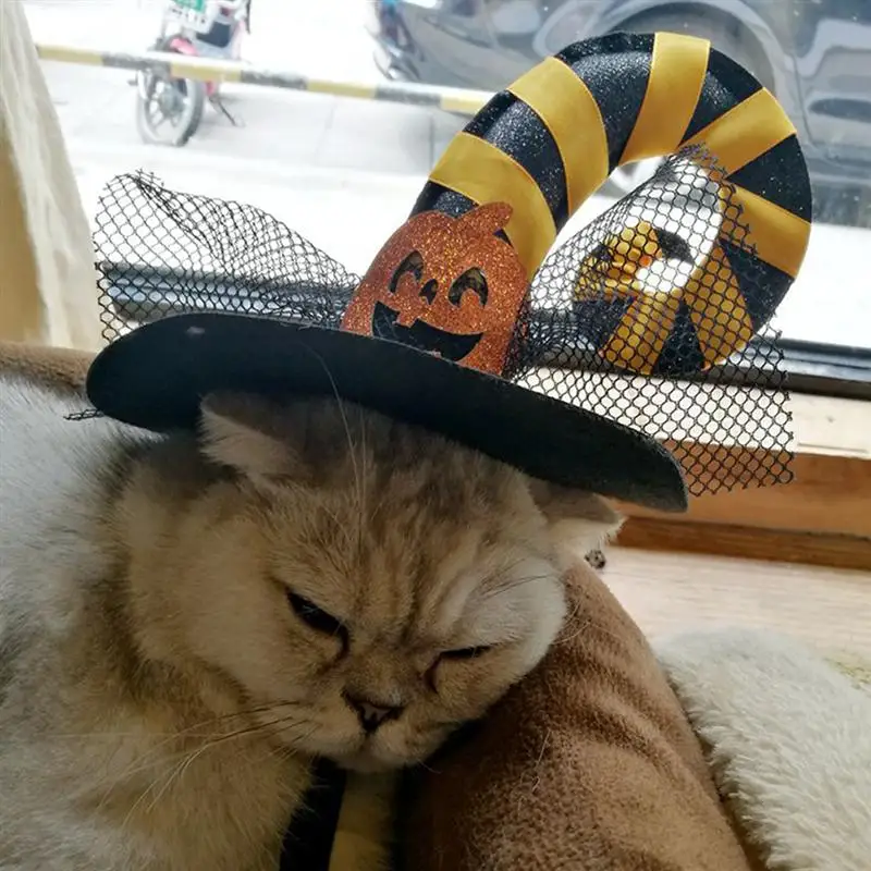 2pcs/Set Halloween Pumpkin Hats For Pet Cat Dogs Decorative Halloween Pet Hat Halloween Party Decoration (Assorted Color)
2pcs/Set Halloween Pumpkin Hats For Pet Cat Dogs Decorative Halloween Pet Hat Halloween Party Decoration (Assorted Color)