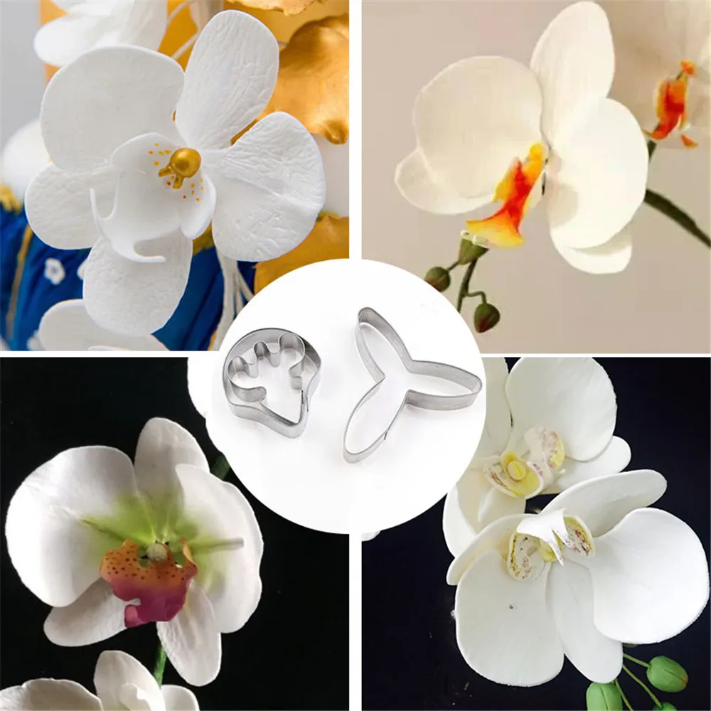 Baking Pottery Mold Stainless Steel Phalaenopsis Cutting Mould Ceramic Polymorph Modelismo Fimo Clay Flower Cutter Tools Molds
Baking Pottery Mold Stainless Steel Phalaenopsis Cutting Mould Ceramic Polymorph Modelismo Fimo Clay Flower Cutter Tools Molds