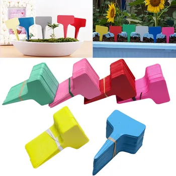 100PC Plastic Plant T-type Tags Markers Nursery Tray Garden Labels Markers for Plants Flower Garden Decoration Drop shipping #L5
100PC Plastic Plant T-type Tags Markers Nursery Tray Garden Labels Markers for Plants Flower Garden Decoration Drop shipping #L5