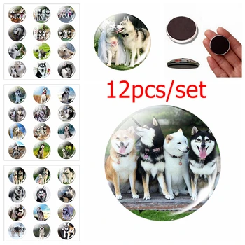 12pcs Siberian Husky Fridge Magnet set Cute Dog Jewelry Message Board Sticker Glass Dome Dog Couple Animal Lovers Gift HomeDecor 
12pcs Siberian Husky Fridge Magnet set Cute Dog Jewelry Message Board Sticker Glass Dome Dog Couple Animal Lovers Gift HomeDecor