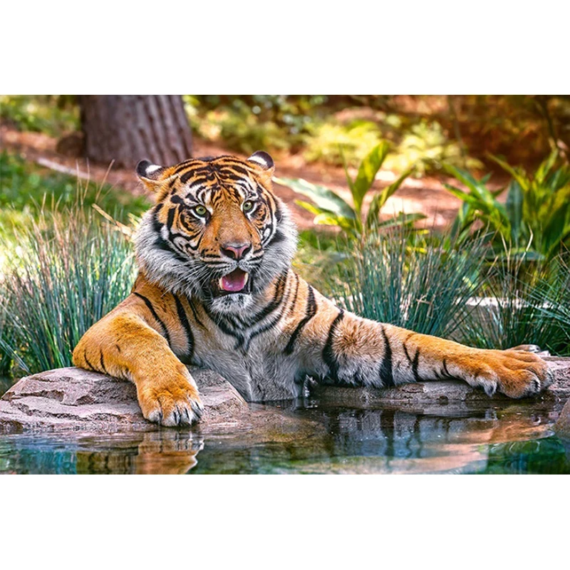 5D Diamond Painting Cross Stitch Full Round Drill DIY Tiger Handmade Mosaic Diamond Embroidery Patterns Rhinestones Art
5D Diamond Painting Cross Stitch Full Round Drill DIY Tiger Handmade Mosaic Diamond Embroidery Patterns Rhinestones Art