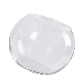 Vase Creative Flower Vase Transparent Glass Vase Desktop Fish Tank Hydroponics Plant Holder for Hotel Home Room Office
Vase Creative Flower Vase Transparent Glass Vase Desktop Fish Tank Hydroponics Plant Holder for Hotel Home Room Office