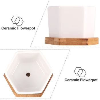 12 Pcs in 1 Set Succulent Plant Pots Mini Succulent Planter Ceramic Flower Planter Pot with Bamboo Trays (6 Pots and 6 Trays, Wh
12 Pcs in 1 Set Succulent Plant Pots Mini Succulent Planter Ceramic Flower Planter Pot with Bamboo Trays (6 Pots and 6 Trays, Wh