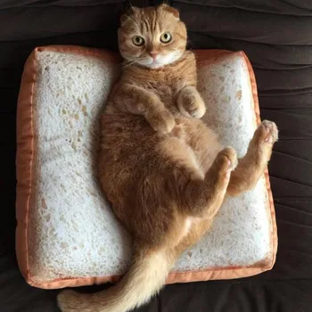 Simulation Washable Toast Cat Dog Pad Litter Dog Mattress Pet Bed Small Dogs Cat Puppy Avocado Blanket Bread Pet Mat 20Jan13
Simulation Washable Toast Cat Dog Pad Litter Dog Mattress Pet Bed Small Dogs Cat Puppy Avocado Blanket Bread Pet Mat 20Jan13