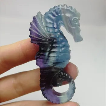 1PC 55mm Hot Handicrafts small ornaments Natural Quartz Crystal Carved Rainbow fluorite sea horse stone healing
1PC 55mm Hot Handicrafts small ornaments Natural Quartz Crystal Carved Rainbow fluorite sea horse stone healing