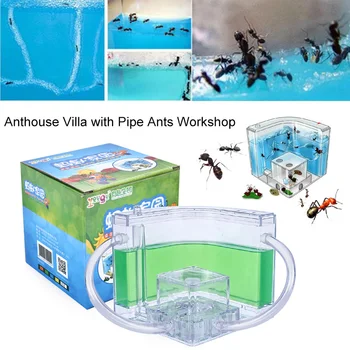 Ant Nest Colorful Transparent Ant Farm Ants House 10.8CM Pet Toy Art Kids Gift Villa Insect Habitat
Ant Nest Colorful Transparent Ant Farm Ants House 10.8CM Pet Toy Art Kids Gift Villa Insect Habitat