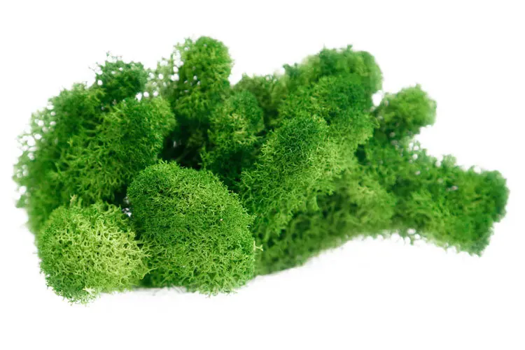 9 (12)