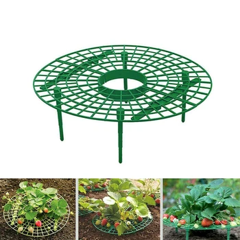 5PCS Set Strawberry Plant Growing Supports Keep Strawberries Off Rot In The Rainy Home Graden Supplies
5PCS Set Strawberry Plant Growing Supports Keep Strawberries Off Rot In The Rainy Home Graden Supplies