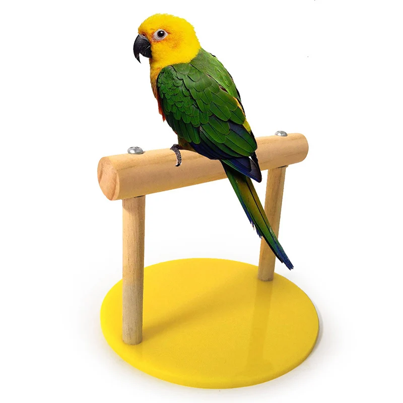 Wooden Tabletop Perch With Acrylic Base For Parrot Birds Standing Exercising Grinding Bird Desktop Perch
Wooden Tabletop Perch With Acrylic Base For Parrot Birds Standing Exercising Grinding Bird Desktop Perch