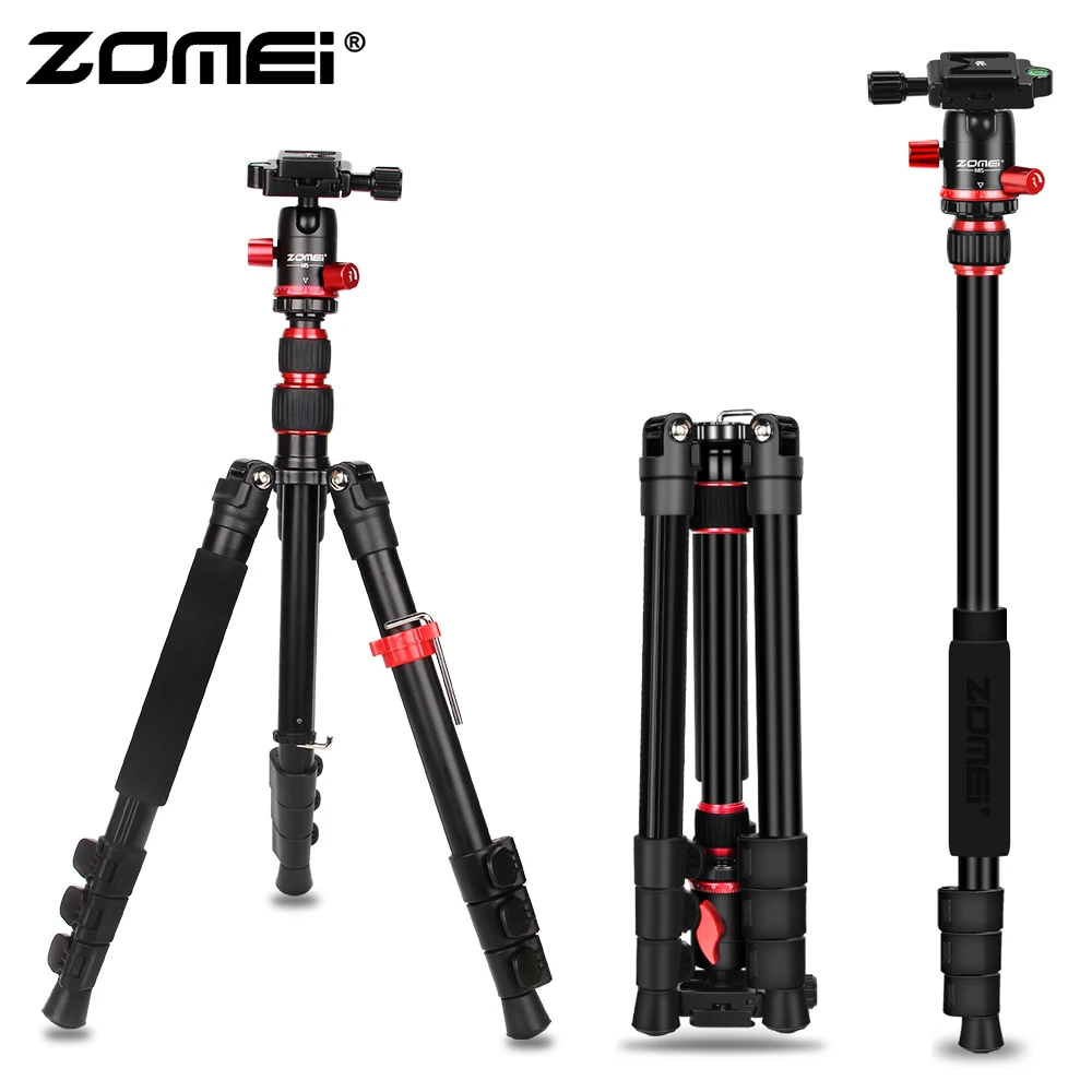 Z2