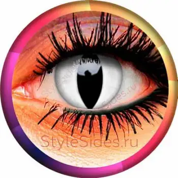 Карнавальные линзы Белый кот WHITE CAT
Карнавальные линзы Белый кот WHITE CAT