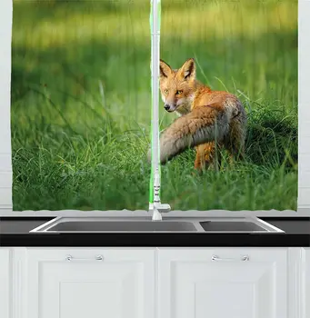 Fern Green Fox Kitchen Curtains Red Fox Fluffy Tail Looking Behind Grass Digital Image Print for Kitchen Cafe Decor
Fern Green Fox Kitchen Curtains Red Fox Fluffy Tail Looking Behind Grass Digital Image Print for Kitchen Cafe Decor