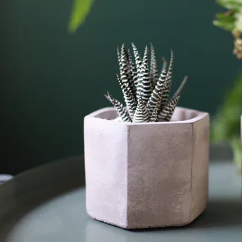 Hexagon Ceramic Planters Matt Porcelain Flowerpot Mini Geometric Succulent Plant Flower Pot Creative Christmas New Year Decor 
Hexagon Ceramic Planters Matt Porcelain Flowerpot Mini Geometric Succulent Plant Flower Pot Creative Christmas New Year Decor